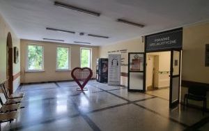 Serce na nakrętki w holu koło poradni specjalistycznych